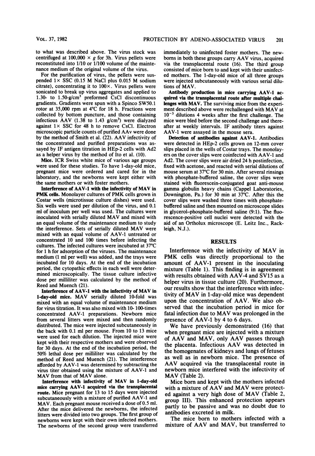 VOL. 37, 1982 PROTECTION BY ADENO-ASSOCIATED VIRUS 201 to what was described above. The virus stock was centrifuged at 100,000 x g for 3h.
