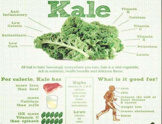 Research Report Not only does it contain the highly nutritious elements found in kale (including some 40 vitamins, minerals, and other nutrients), but these nutrients exist in almost perfect balance.