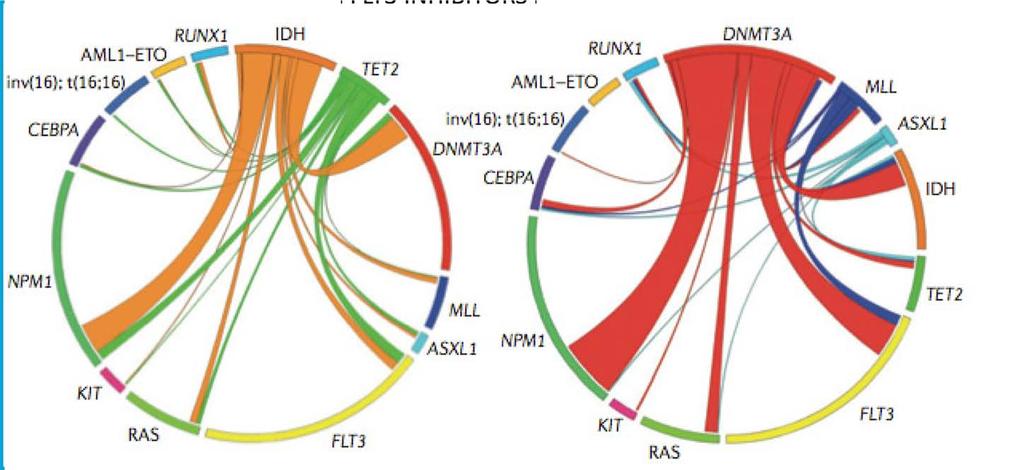 Novel molecular targets in AML: midh1/2 inhibition FLT3 INHIBITORS?