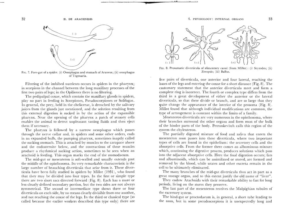 32 II. DE ARACHNIDIS 4. PHYSIOLOGY: INTERNAL ORGANS 33 Fw. 7. Fore-gut of a spider. (i) Oesophagus and stomach of Araneus; (ii) oesophagus of Tegenaria.