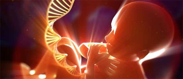 Parental factors and early life exposures Maternal