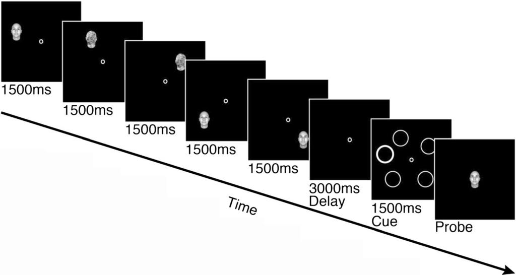 Fig. 2 Example of a working memory trial in Experiment 1.