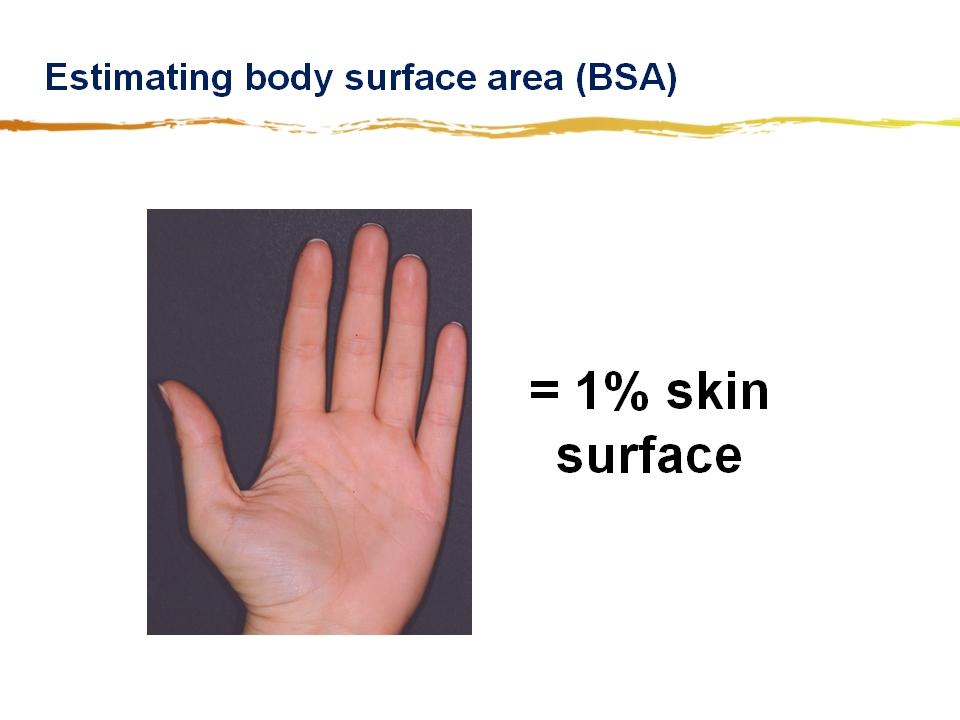 Estimating Body Surface
