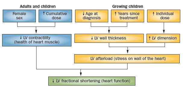 Cardiotoxicity 8-Years After Anthracycline Treatment of Childhood Cancer Arrows indicate independent predictors