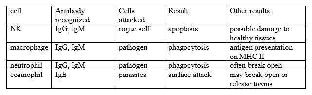 Table 14-2 ADCC Variations B. Graft Versus Host Cooperation from the immune system you would like to avoid. 1. Supply immuno-incompetent individual with competent lymphocytes from another genetically different individual.