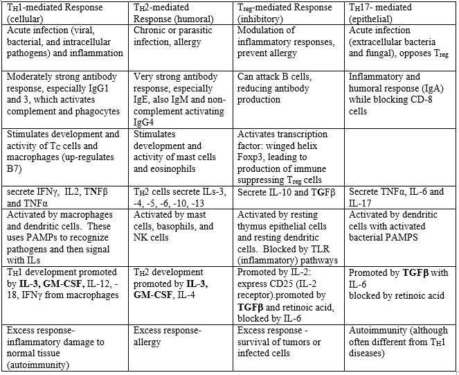 4. T reg suppress immune responses B. Summary Table 12-1, CD4+ Cells Compared V. Determining Development and Function of T H Subsets A.