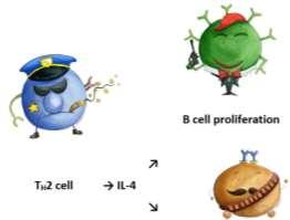 B. Summary of types of interactions 1. Pleiotropy (Figure 12-14) - one cytokine may act on several different cell types.