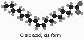 Types of fatty acids Monounsaturated fatty acids