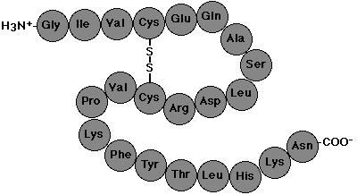 Nearly all biological molecules can be grouped into one of four general categories (Table 3.