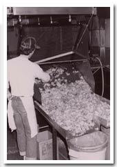 a batch process) In 1929 the first continuous fryer invented by the J D
