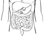 Gastrointestinal Motility Disorders & Irritable Bowel Syndrome None Disclosures Jasmine Zia, MD Acting Assistant Professor Division of Gastroenterology, University of Washington 6 th Asian Health
