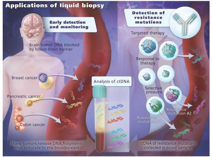 A new perspective: Liquid biopsy 15/06/2015 41