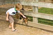 coli outbreaks among children who have visited open farms, so if you bring children on