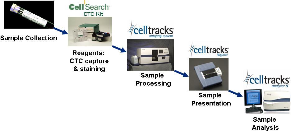 VERIDEX: CellSearch System Selection positive EPCAM Staining : CK