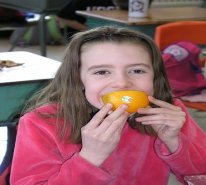 Get Caught Eating Vegetable and fruit Encouraging students to try new foods Safety/Substance Use Support Safe Kids Forum: Target: Grades 6-8 Topics: