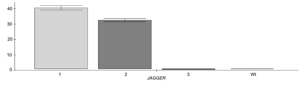 Figure S4 Relative expression of JAGGER in wild-type and 35sprom:JAGGER mutant flowers.