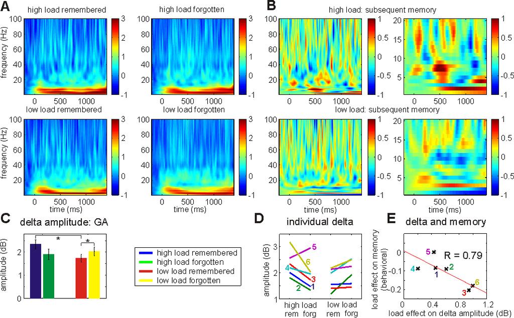 182 N. Axmacher et al. Fig. 4. Hippocampal delta 1 band activity is associated with WM LTM interference.