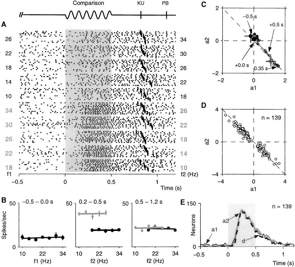 Decision-Making Processes in Medial Premotor Cortex 965 Figure 6. Differential Responses during the Comparison Period Plots and axes as in Figure 5.