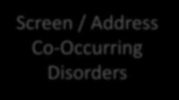 Key Themes and Best Practices Patient Centered Care Screen / Address Co-Occurring Disorders Treatment should