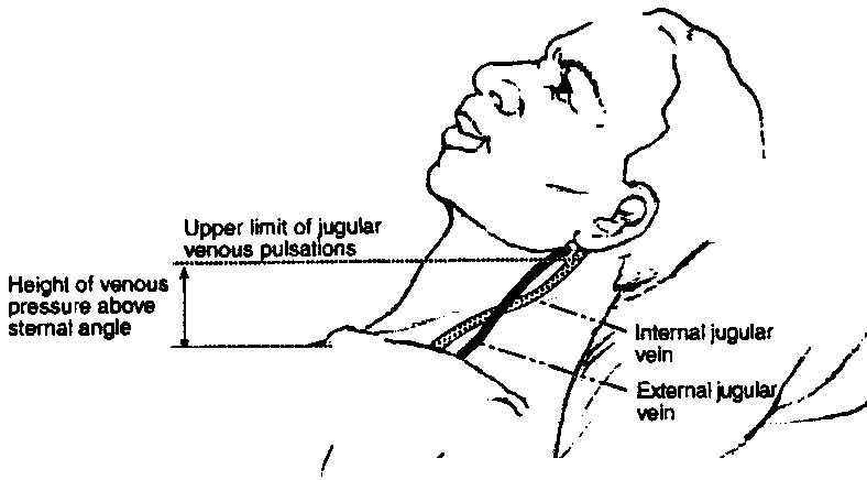 jugular venous pressure (hepatojugular reflex).