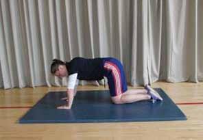 4 point kneeling position, hands + knees shoulder width
