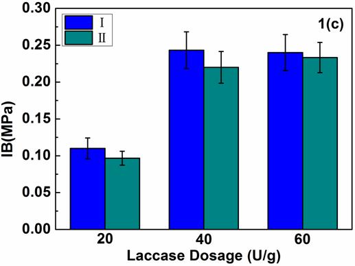 thereby exhibiting lower mechanical properties. As the laccase dosage increased from 20 U/g to 40 U/g, MOR, MOE, and IB exhibited a notable increase.