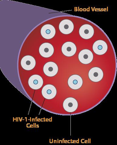 The Viral Archive: A Second Source of Viral Information GenoSure Archive SM analyzes archived HIV-1