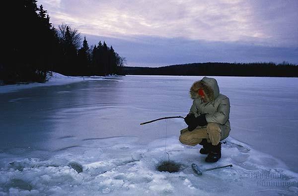 - Lower water is protected by the surface layer of ice.