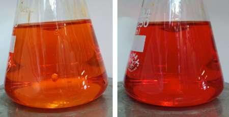 2-hydroxy-1,4-NQ 0 min (left