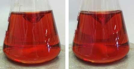 2,5-dihydroxy-1,4-BQ 0 min