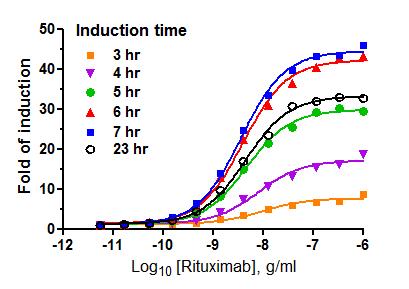 Assessing Critical Assay Parameters Induction time E:T ratio (constant Effector cell