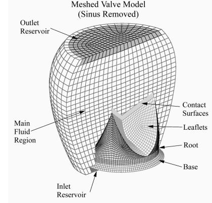 Figure 4. The aortic valve model, showing the inlet and outlet reservoirs.