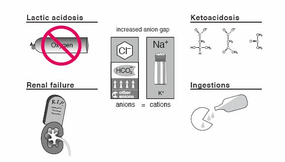 AG Metabolic Acidosis K - ketones I