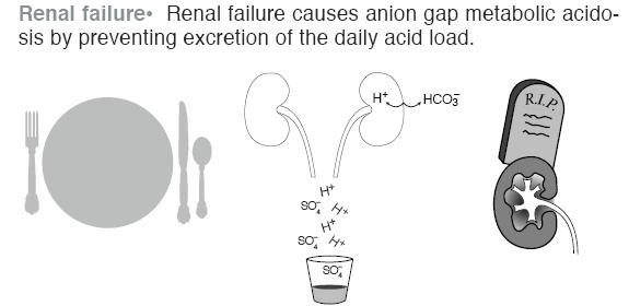 Metabolic Acidosis of Renal Failure NAGMA AGMA: GFR <