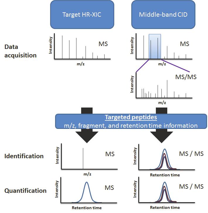 Introduction Shotgun mass spectrometry is a popular tool for candidate protein biomarker discovery.