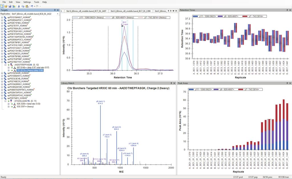Quantification using Skyline Figure 3: Quantification of y11, y8, and y7 fragments of transthyretin (P02766) using Skyline is shown as an example of the DIA approach.