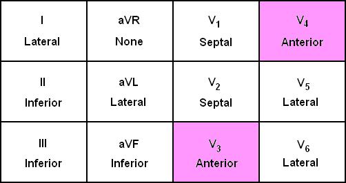 Anatomic Groups