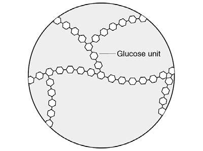 Disaccharides -some carbohydrates are complex e.g. table sugar (sucrose) is a disaccharide. Can be hydrolysed into monosaccharides e.g. H 1 sucrose 3 O + 1 glucose + 1 fructose (monosaccharide) (monosaccharide) (disaccharide) Polysaccharides -some carbohydrates are complex e.