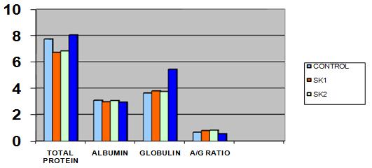 Figure 3 Effect of Sirupeelai kudineer on serum protein levels 1.6.