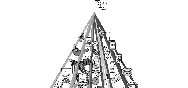 Modified food pyramid for older adults; 2008 Major changes: