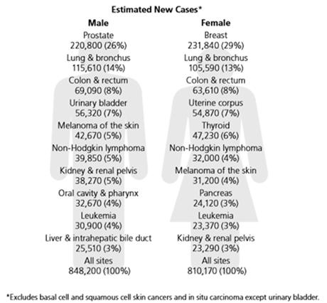 Estimated New Cancer Cases* in the US in 2015 American Cancer Society.