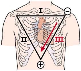 Cardiac Monitoring System 73 Figure 5.