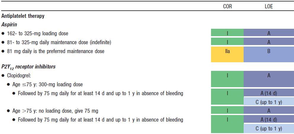 Adjunctive Antithrombotic Therapy to