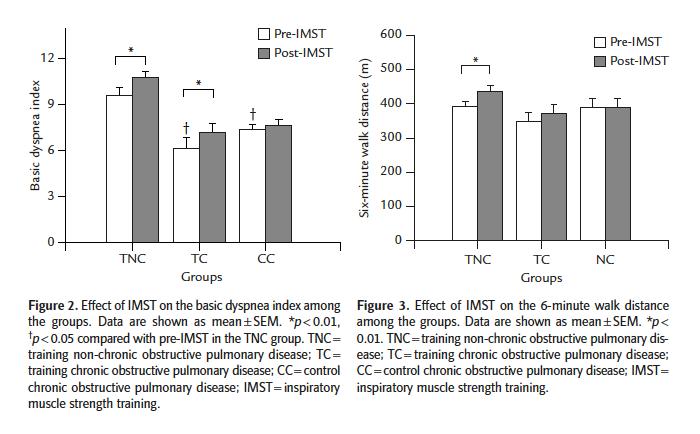 Interventions Effects on BDI and 6MWD *Significant Improvements in BDI in Both Training Groups *Significant Improvements in 6MWD in Training Non-COPD Group