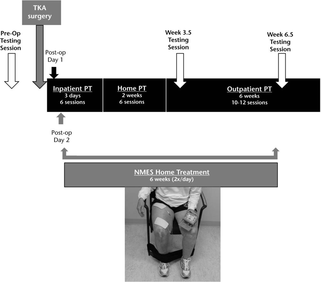 Figure 1. Study treatment and testing session timeline. All participants received a similar inpatient, home, and outpatient physical therapy (PT) regimen.