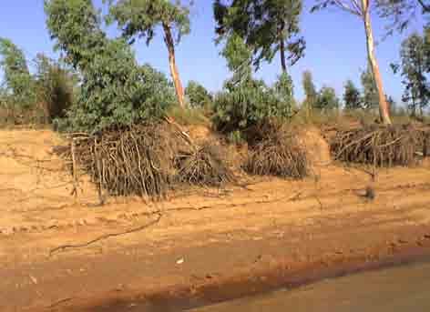 Erosion Niger River (Mali).