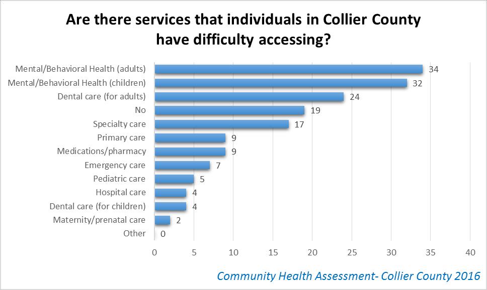 The surveys also asked about difficulties in receiving specific types of health services. Nineteen respondents said, no, there are no services that individuals in have difficulty accessing.