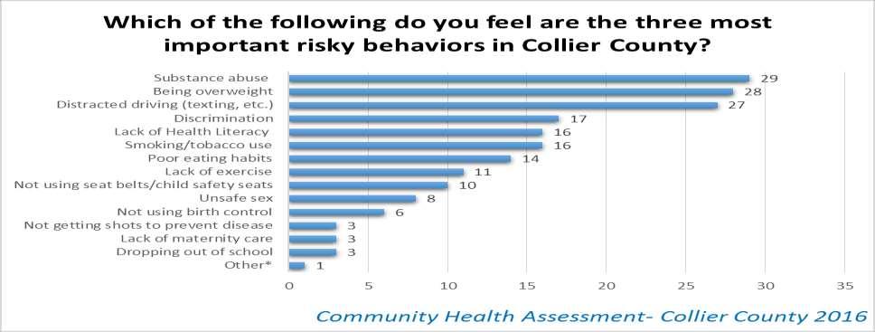 Respondents were then asked to select the three most important risky behaviors in. Substance abuse was listed most frequently, with 29 responses.