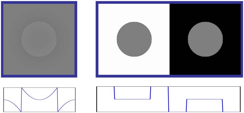 Figure 1. Classical brightness illusions demonstrate that spatial properties of the scene, such as luminance gradients and ratios between adjacent areas play a dramatic role in brightness perception.