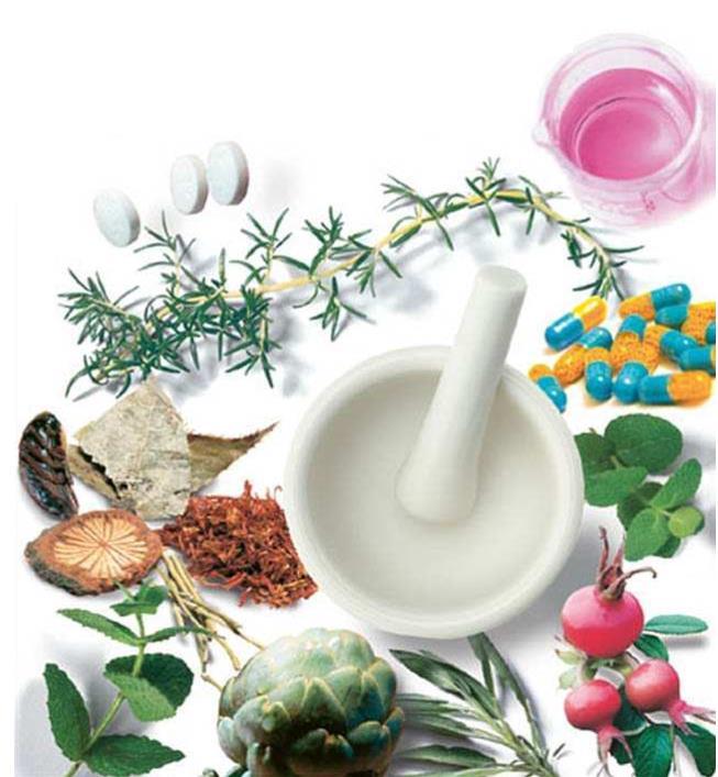 Terms Used to Describe Herbal Product Herbal Drugs
